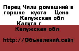 Перец Чили домашний в горшке 2 куста  › Цена ­ 500 - Калужская обл., Калуга г.  »    . Калужская обл.